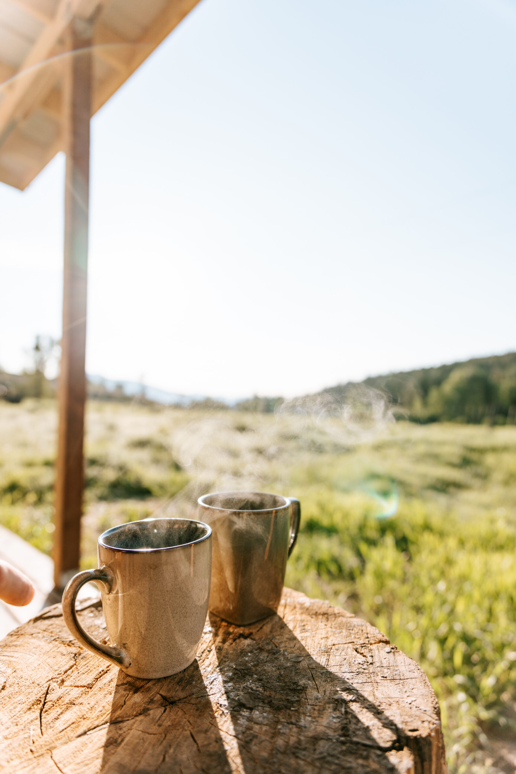 Monture Creek at Orion Farmstead